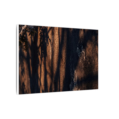 Golden Hour Shadow Play Canvas Art - Dark Japandi Fukinsei
