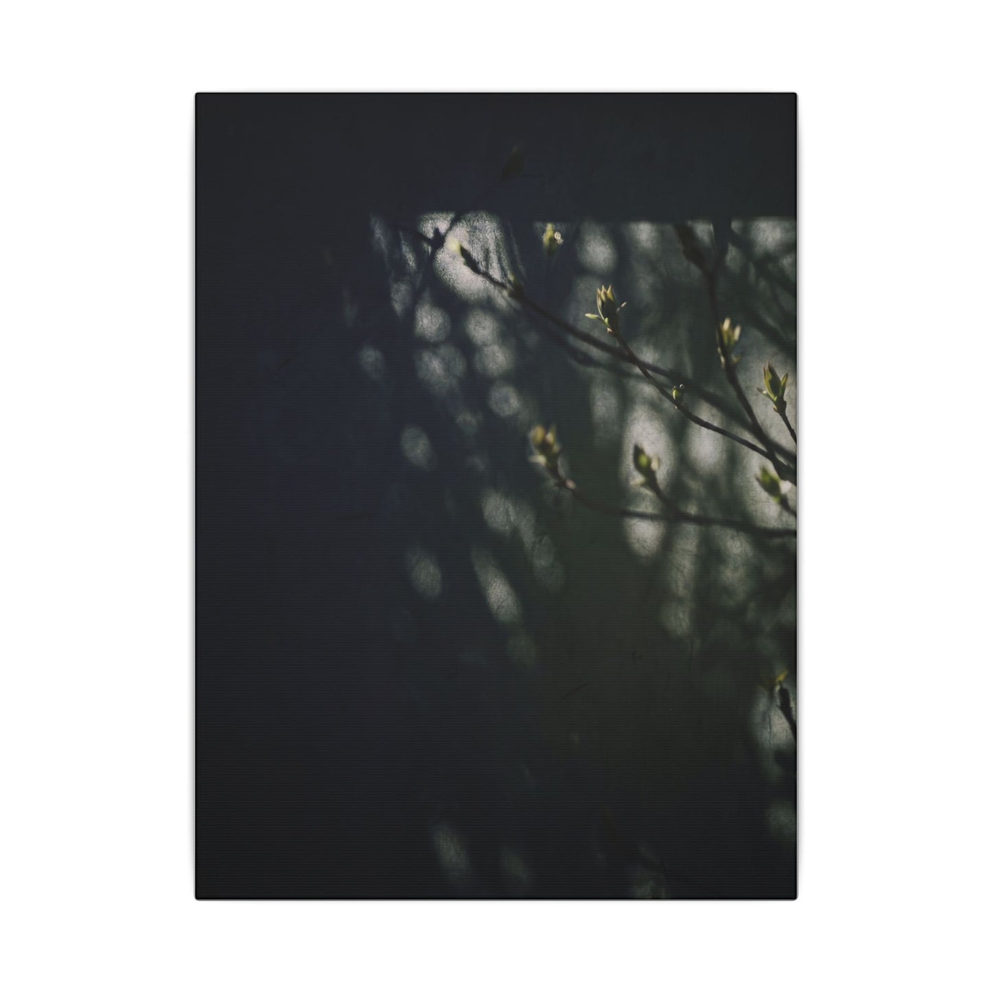 Dark Japandi Shoji Screen in Dappled | Moody Minimal Canvas Art