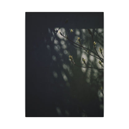 Dark Japandi Shoji Screen in Dappled | Moody Minimal Canvas Art