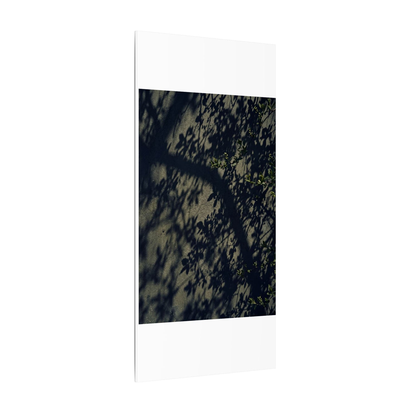 Atmospheric Shadow Play Canvas Art - Moody Minimal Dark Japandi