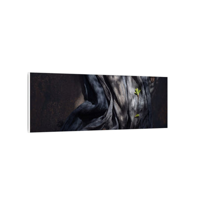 Seijaku Silk Drape Canvas Art - Dark Japandi Dark Texture