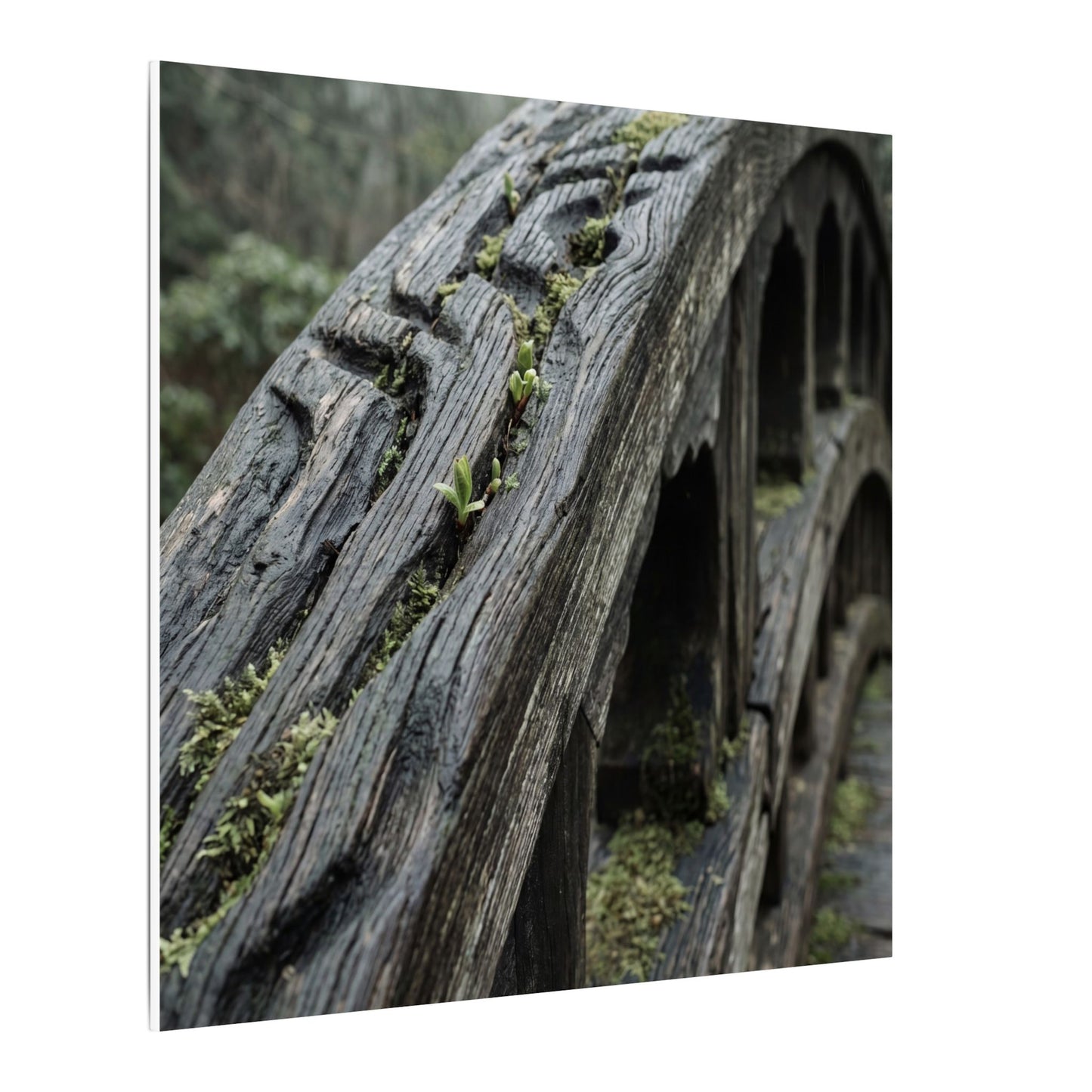 Overcast Wooden Bridge Canvas Art - Japandi Kanso