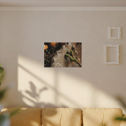 Overcast Ceramic Bowl Canvas Art - Japandi Ma