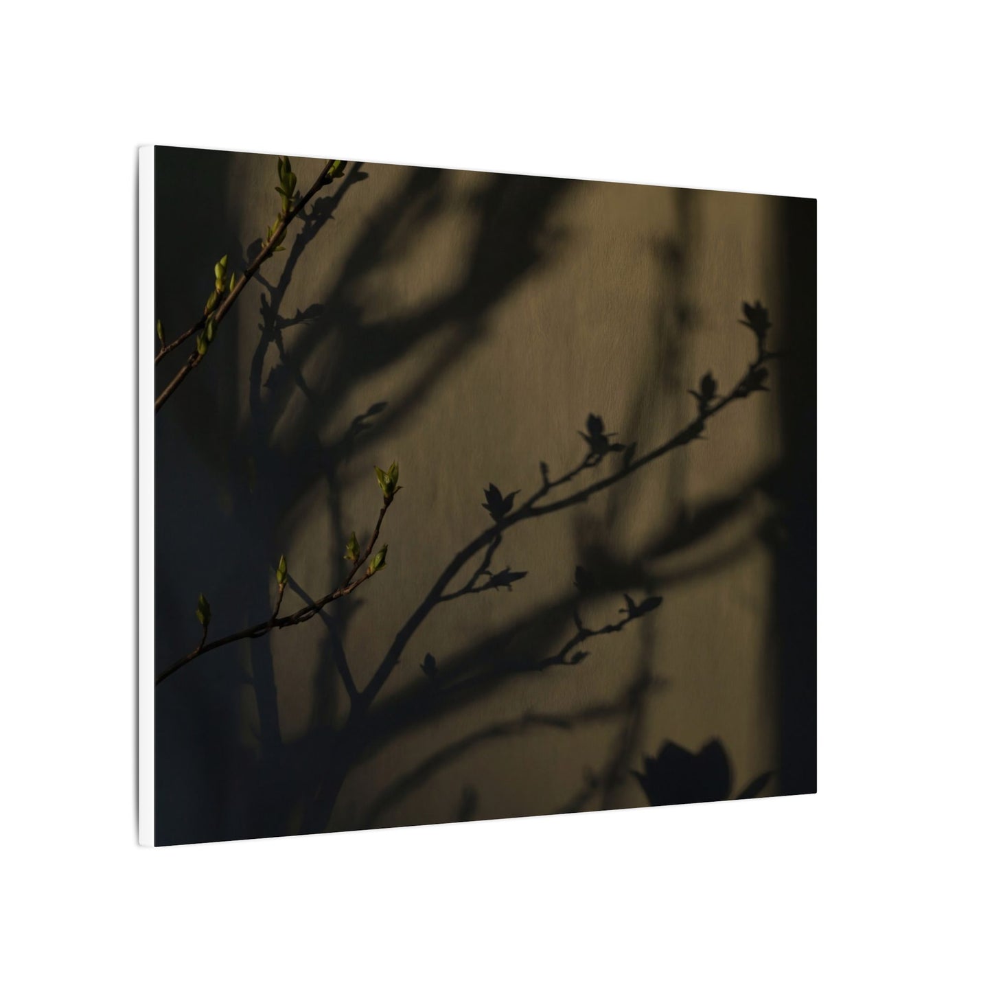 Seijaku Shadow Play Canvas Art - Dark Japandi Charcoal Ink