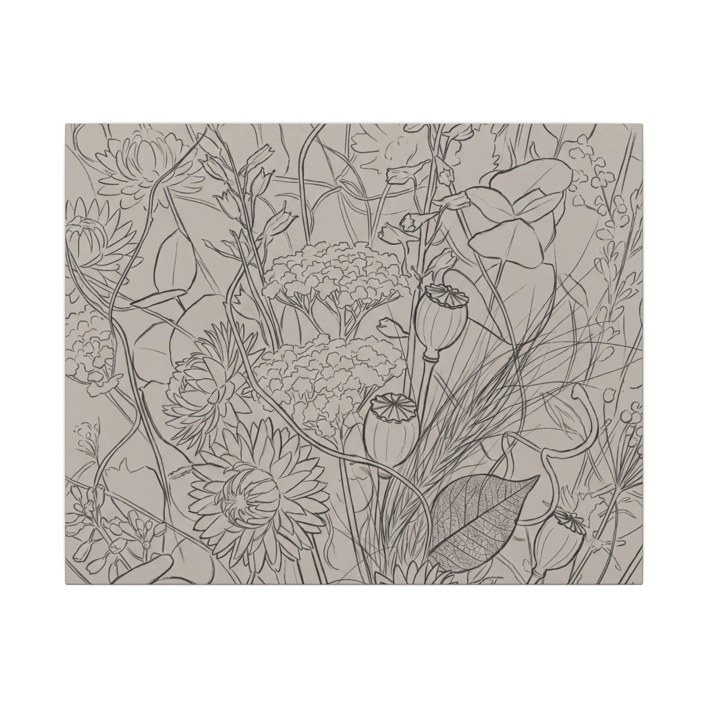 Summer Dried Flowers Minimal Line Canvas Art | Elegant Decor