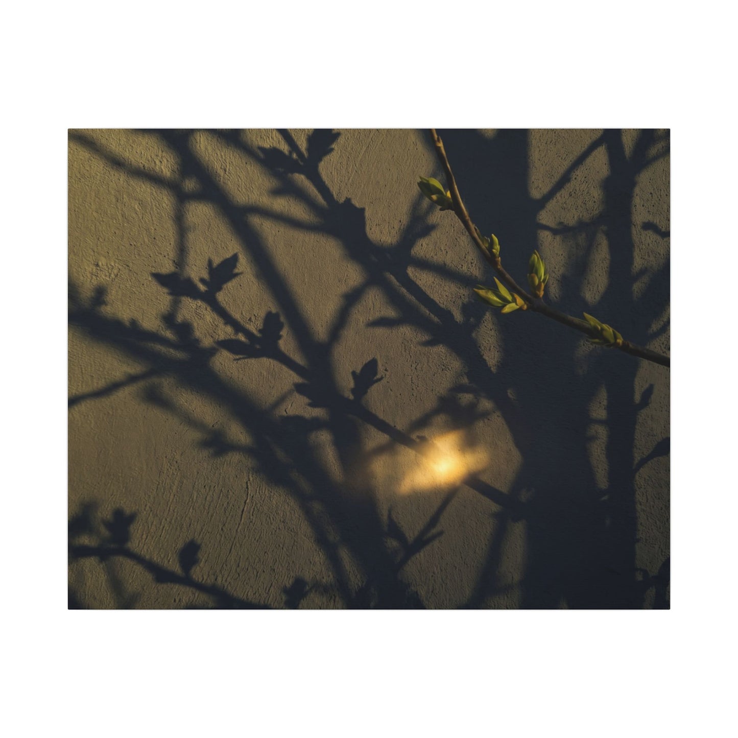 Bold Shadow Play Canvas Art - Moody Minimal Dark Japandi