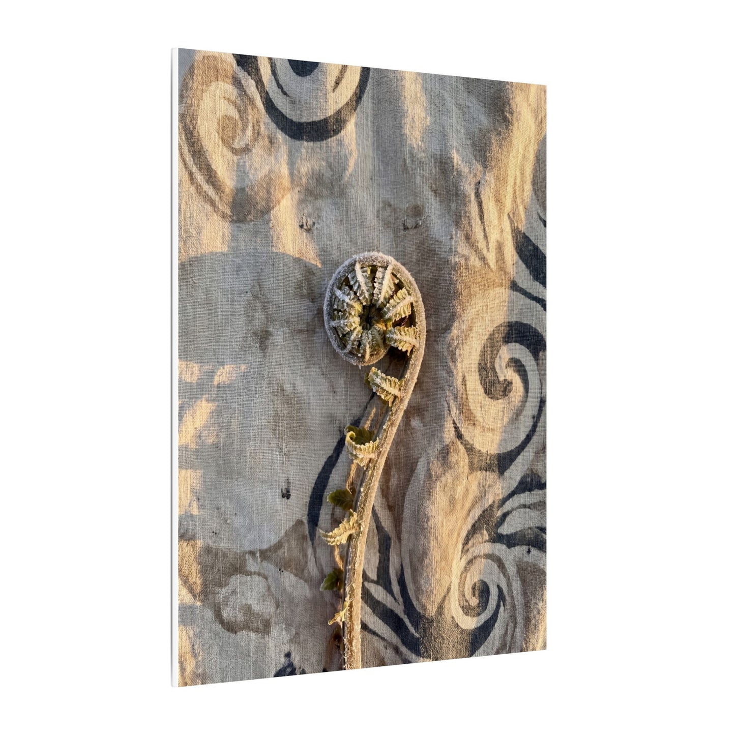 Fern Unfurling Canvas Art | Winter Japandi Japanese Pattern Art