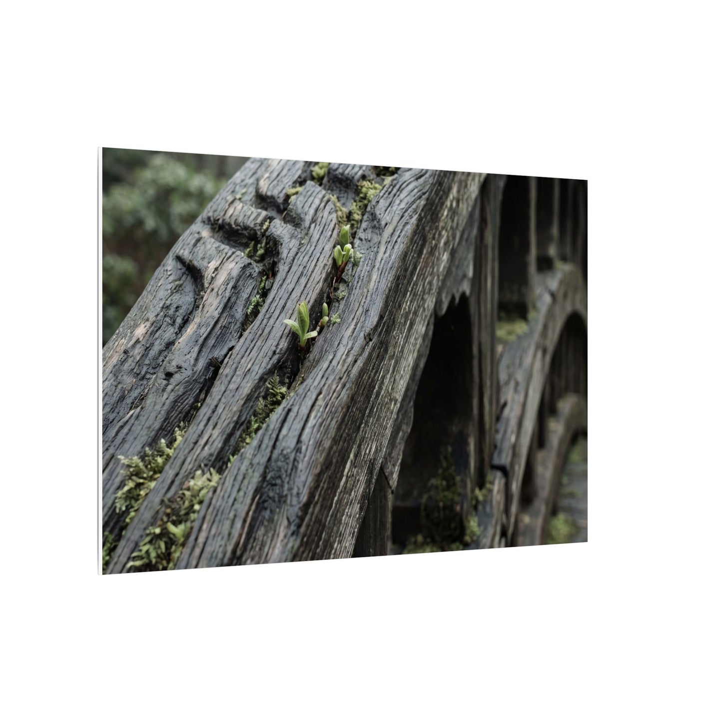Overcast Wooden Bridge Canvas Art - Japandi Kanso