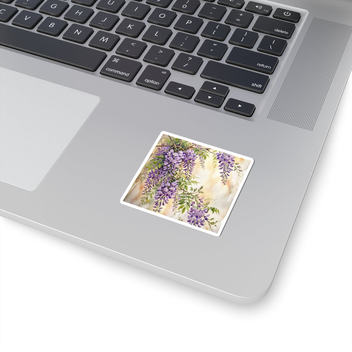 Wisteria Sticker | Spring Japandi Watercolor Art