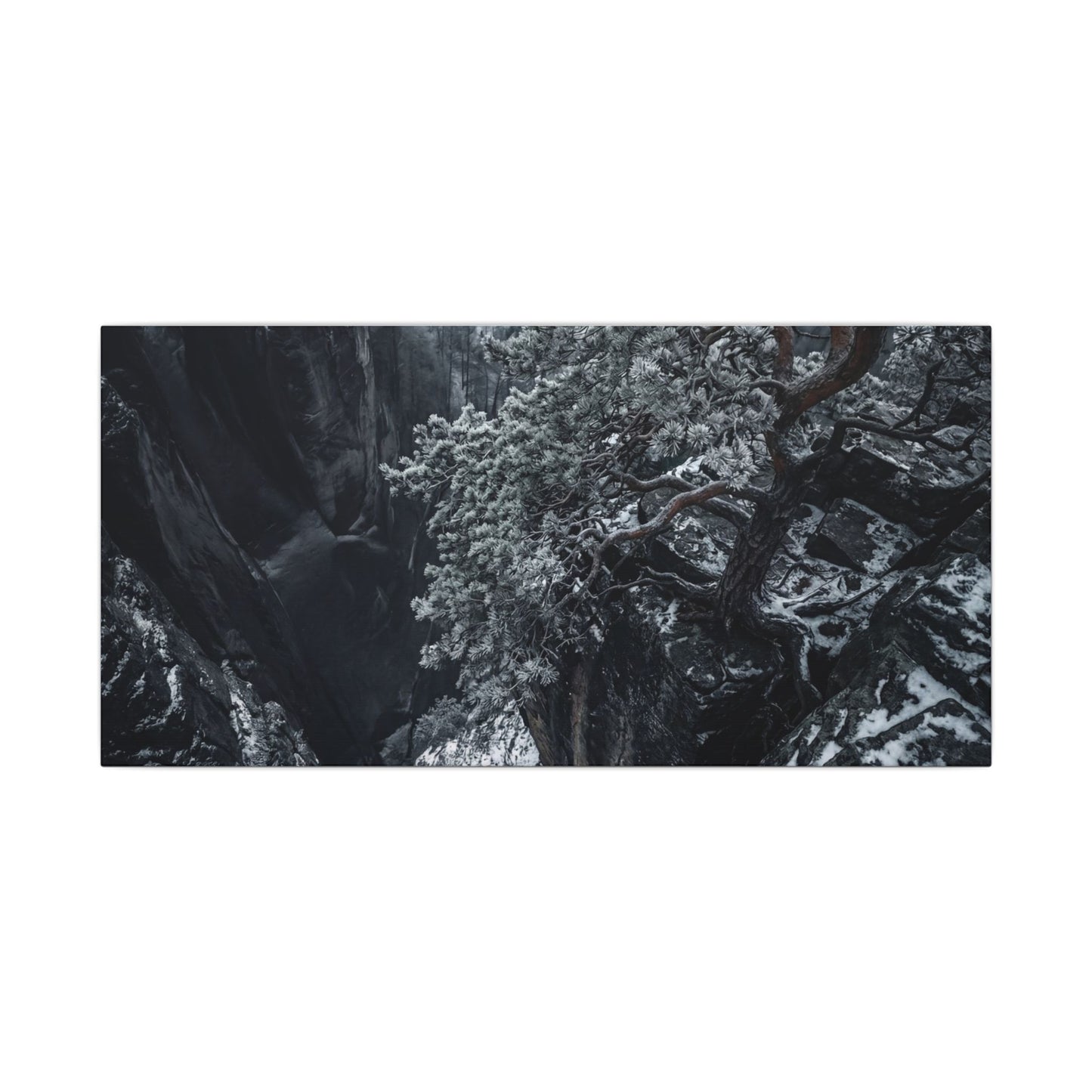 Dark Japandi Pine Tree in Dappled | Dark Texture Canvas Art
