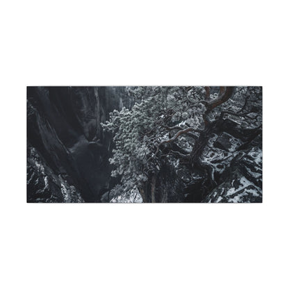 Dark Japandi Pine Tree in Dappled | Dark Texture Canvas Art