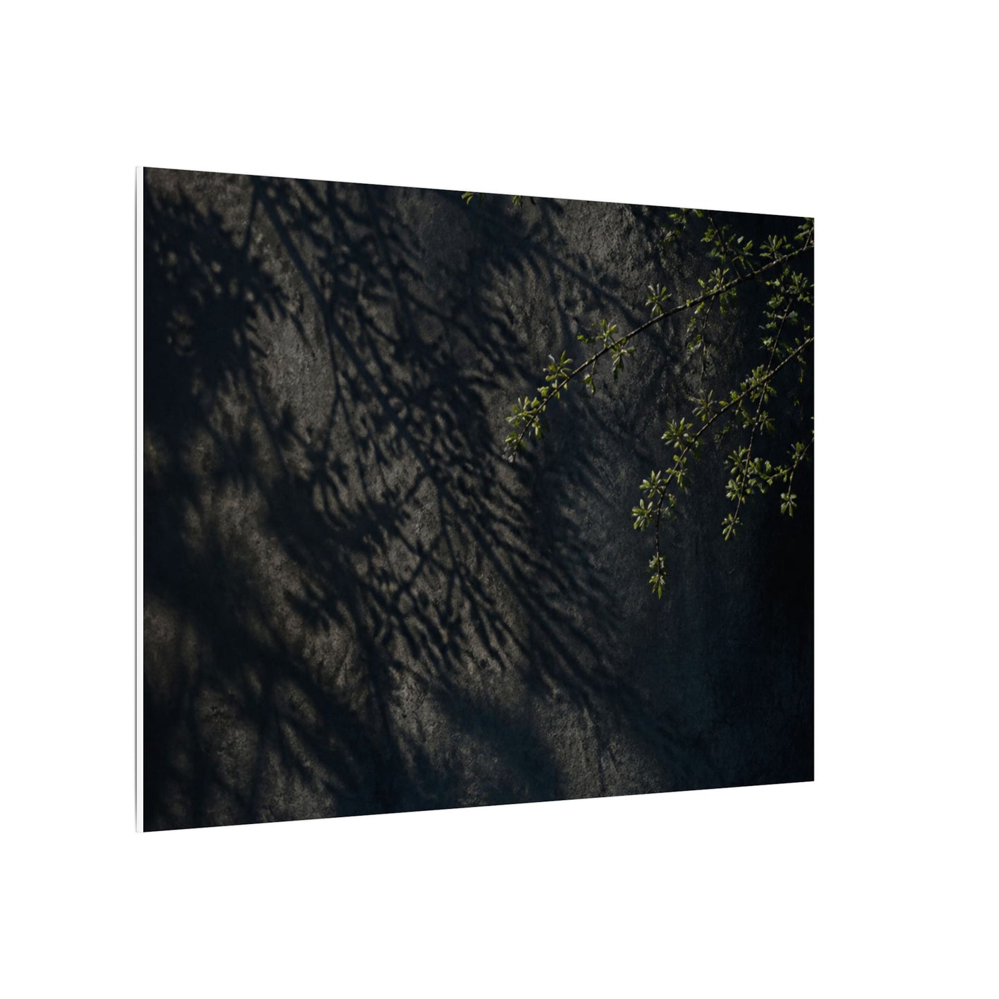 Overcast Shadow Play Canvas Art - Dark Japandi Seijaku