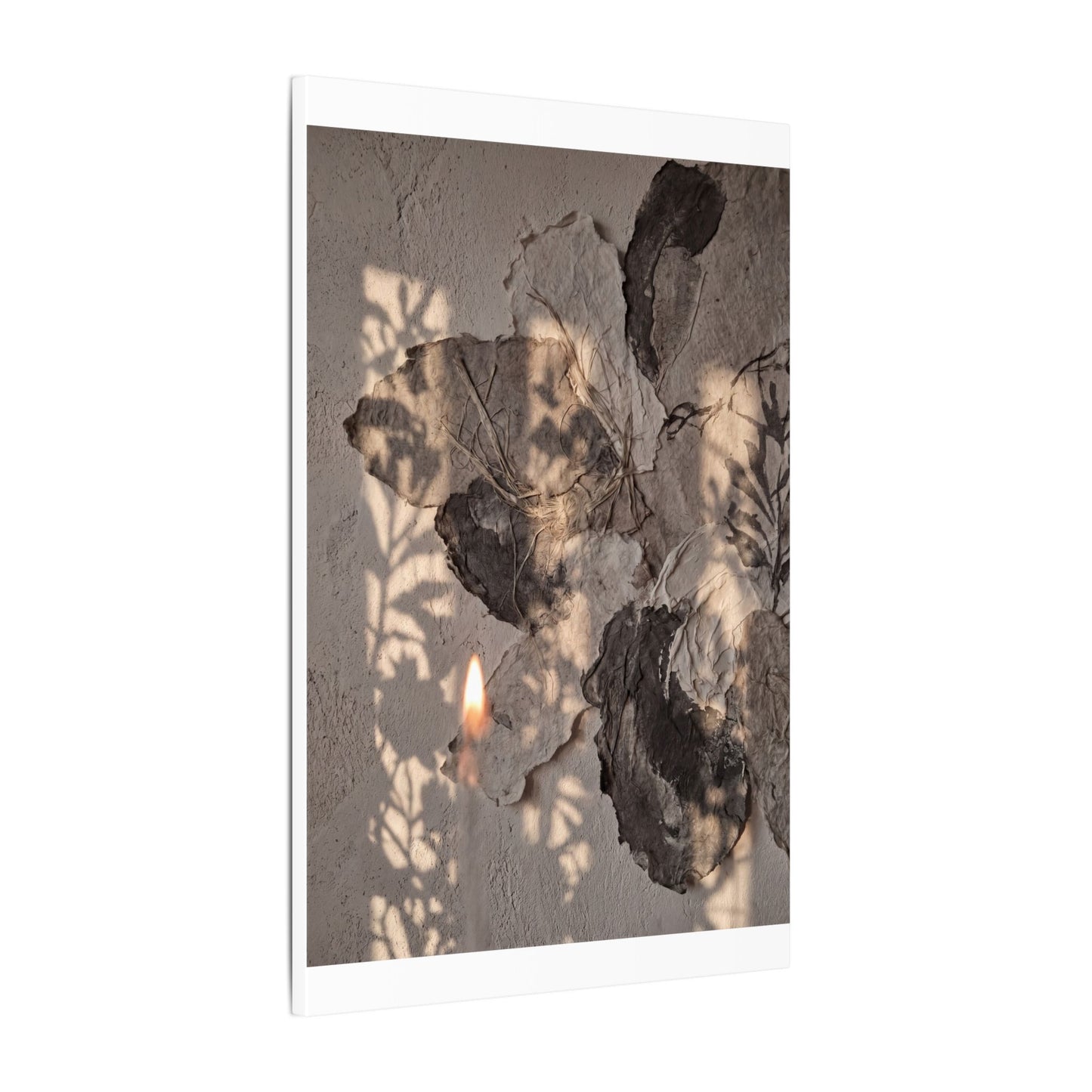 Shadow Play Summer Canvas Art | Japandi Elegant Design
