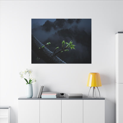 Moonlight Mountain Mist Canvas Art - Dark Japandi Kanso