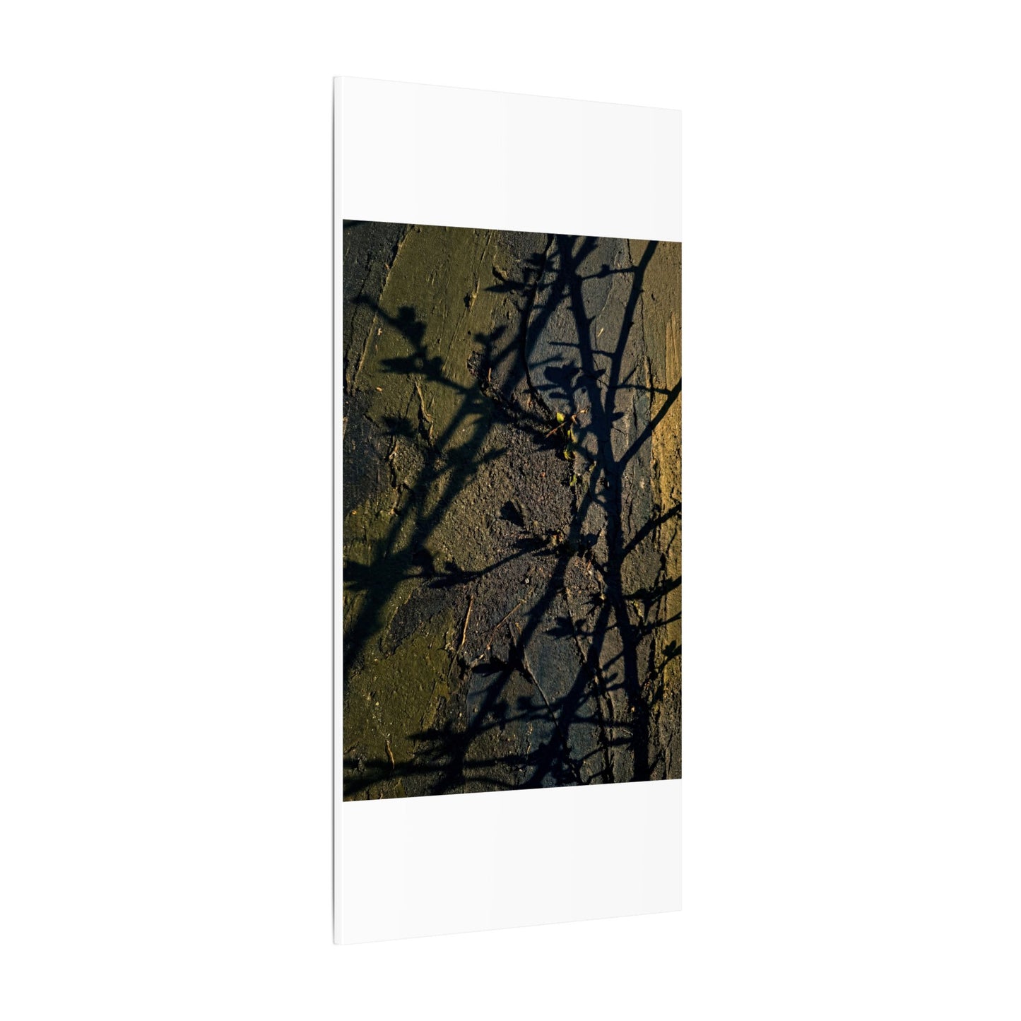 Kanso Shadow Play Canvas Art - Dark Japandi Dark Texture