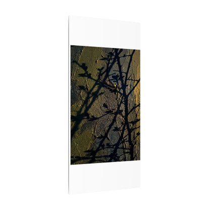 Kanso Shadow Play Canvas Art - Dark Japandi Dark Texture