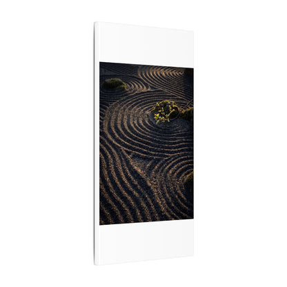 Spring Rock Garden Shadow Zen Canvas Art | Atmospheric Decor
