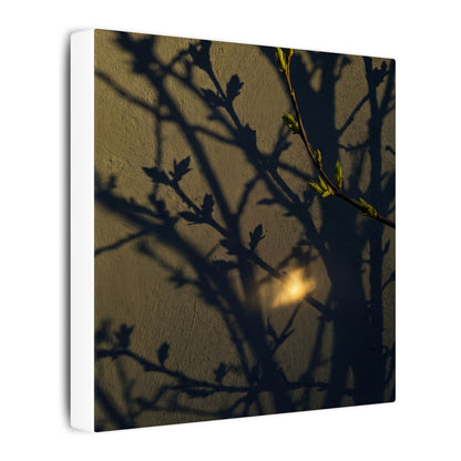 Bold Shadow Play Canvas Art - Moody Minimal Dark Japandi