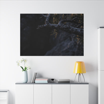 Pine Tree Moody Minimal Canvas Art | Sophisticated Dark Japandi Art