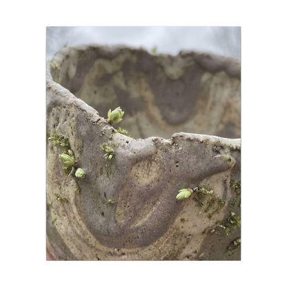 Overcast Ceramic Bowl Canvas Art - Japandi Fukinsei