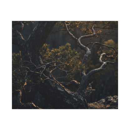 Moody Pine Tree Canvas Art - Moody Minimal Dark Japandi