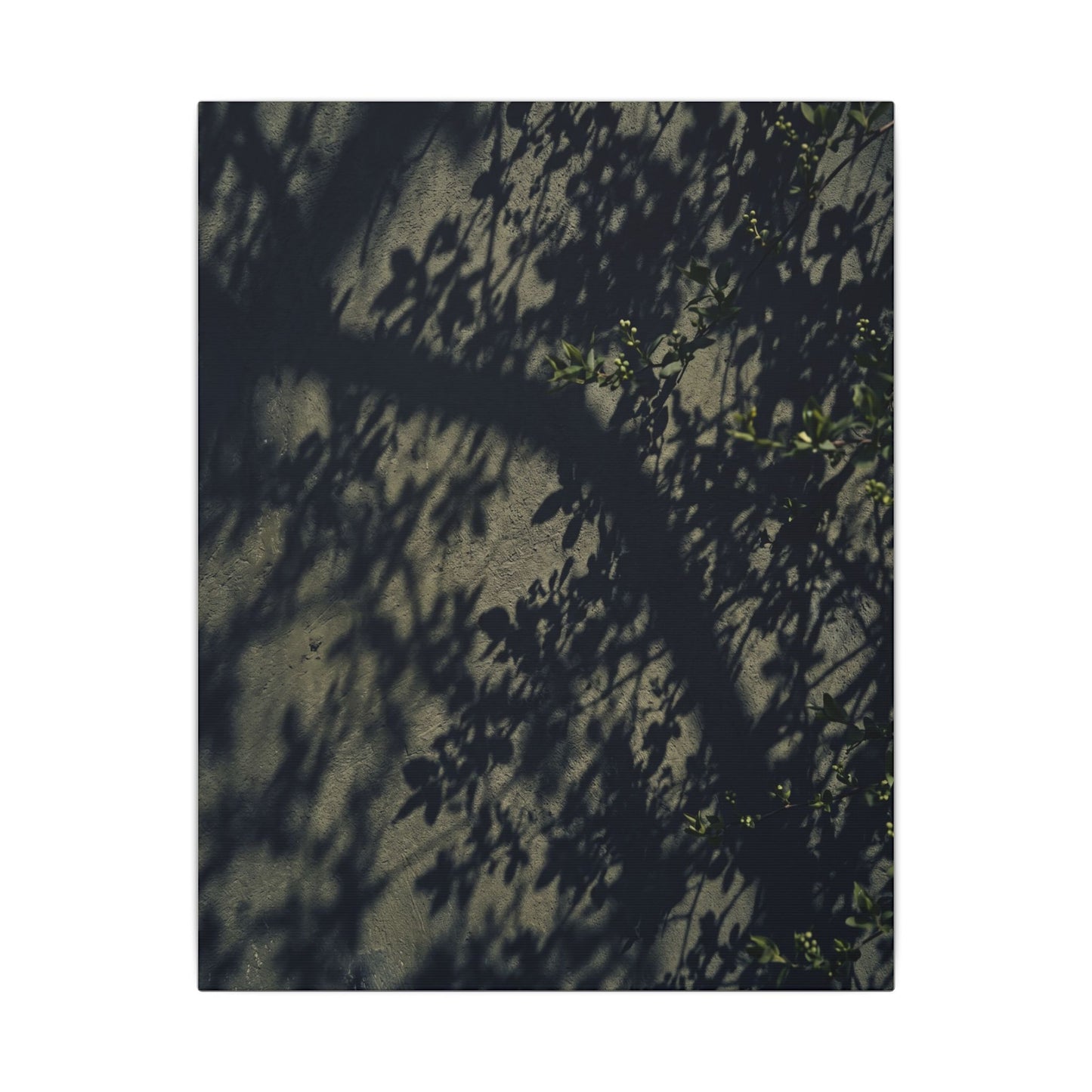 Atmospheric Shadow Play Canvas Art - Moody Minimal Dark Japandi
