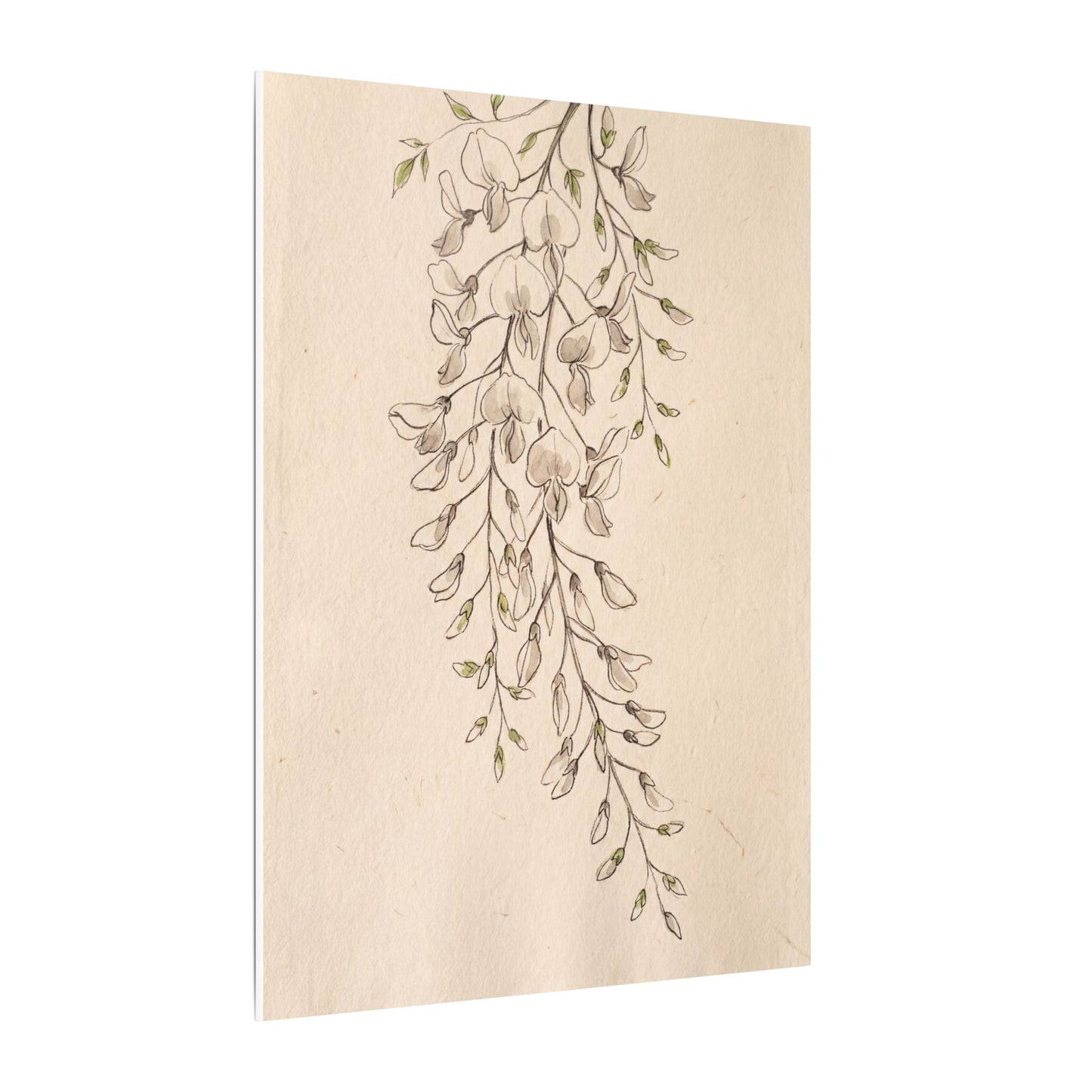 Japandi Wisteria in Golden Hour | Minimal Line Canvas Art