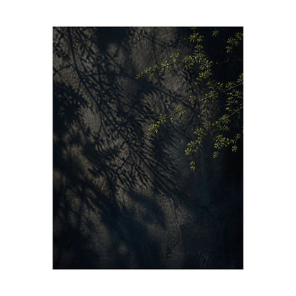 Dark Japandi Shadow Play in Overcast | Moody Minimal Wall Art Print
