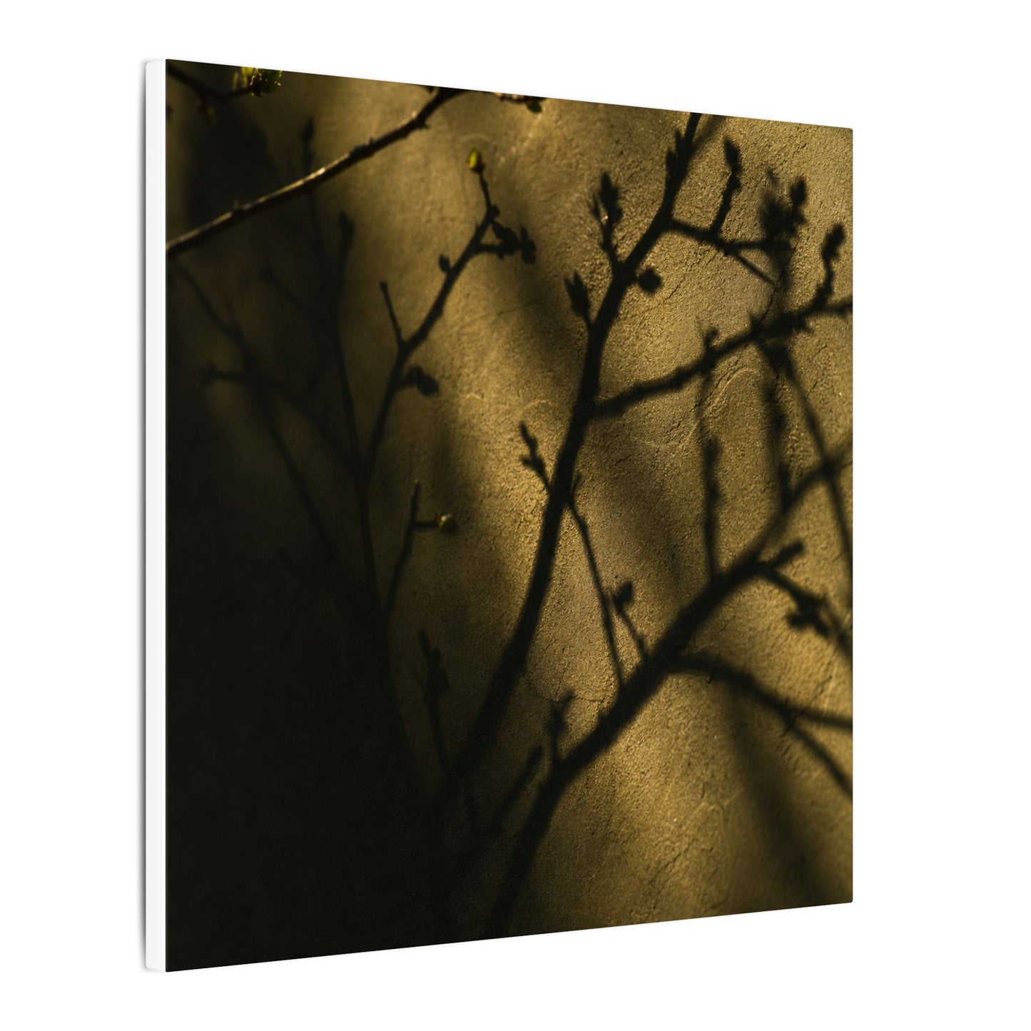 Golden Hour Shadow Play Canvas Art - Dark Japandi Seijaku