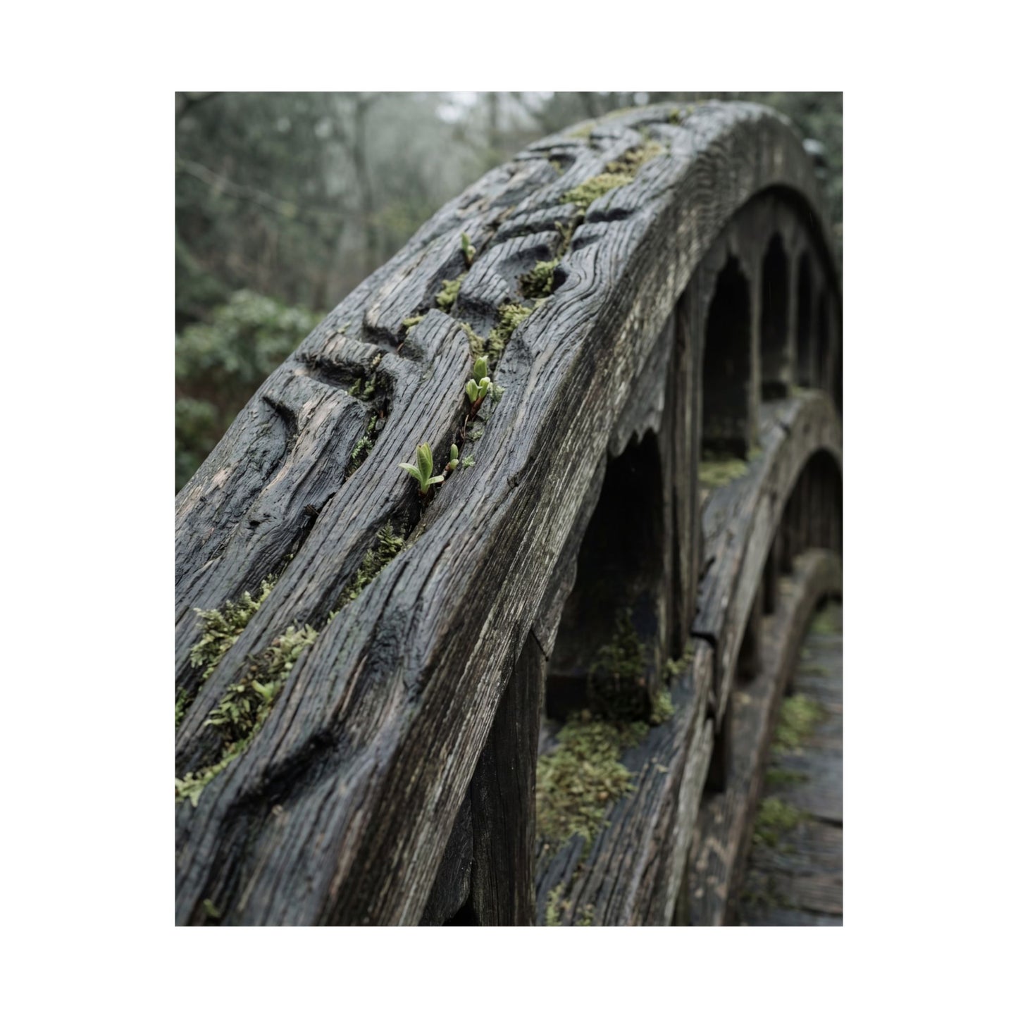 Kanso Wooden Bridge Wall Art Print - Japandi Japanese Pattern