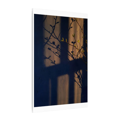 Shadow Play Canvas Art | Spring Dark Japandi Shadow Zen Art