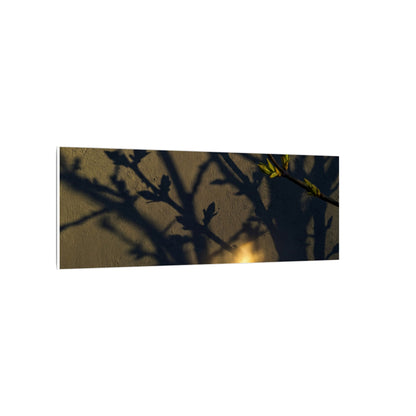 Bold Shadow Play Canvas Art - Moody Minimal Dark Japandi