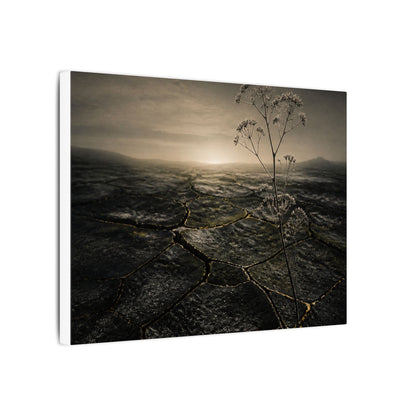 Dawn Cracked Earth Canvas Art - Dark Japandi Mono No Aware