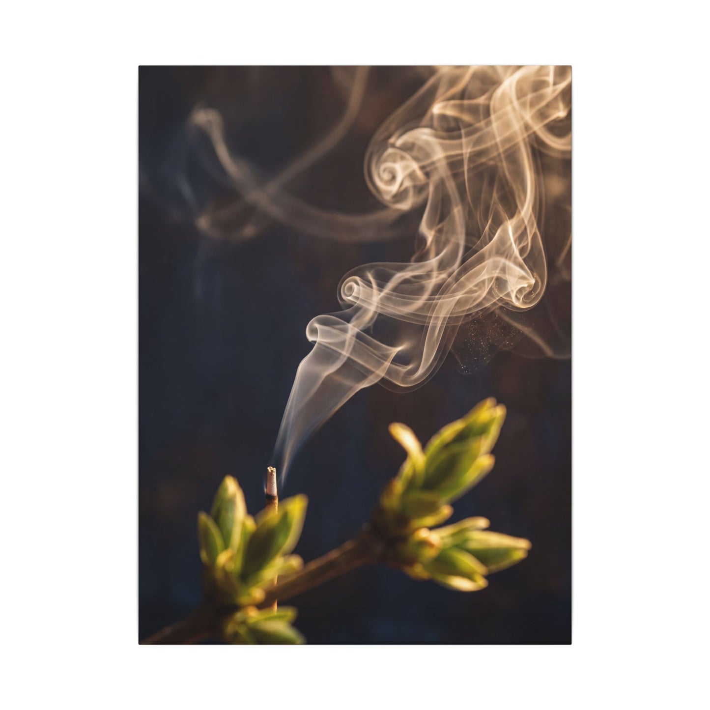Incense Smoke Spring Canvas Art | Dark Japandi Atmospheric Design