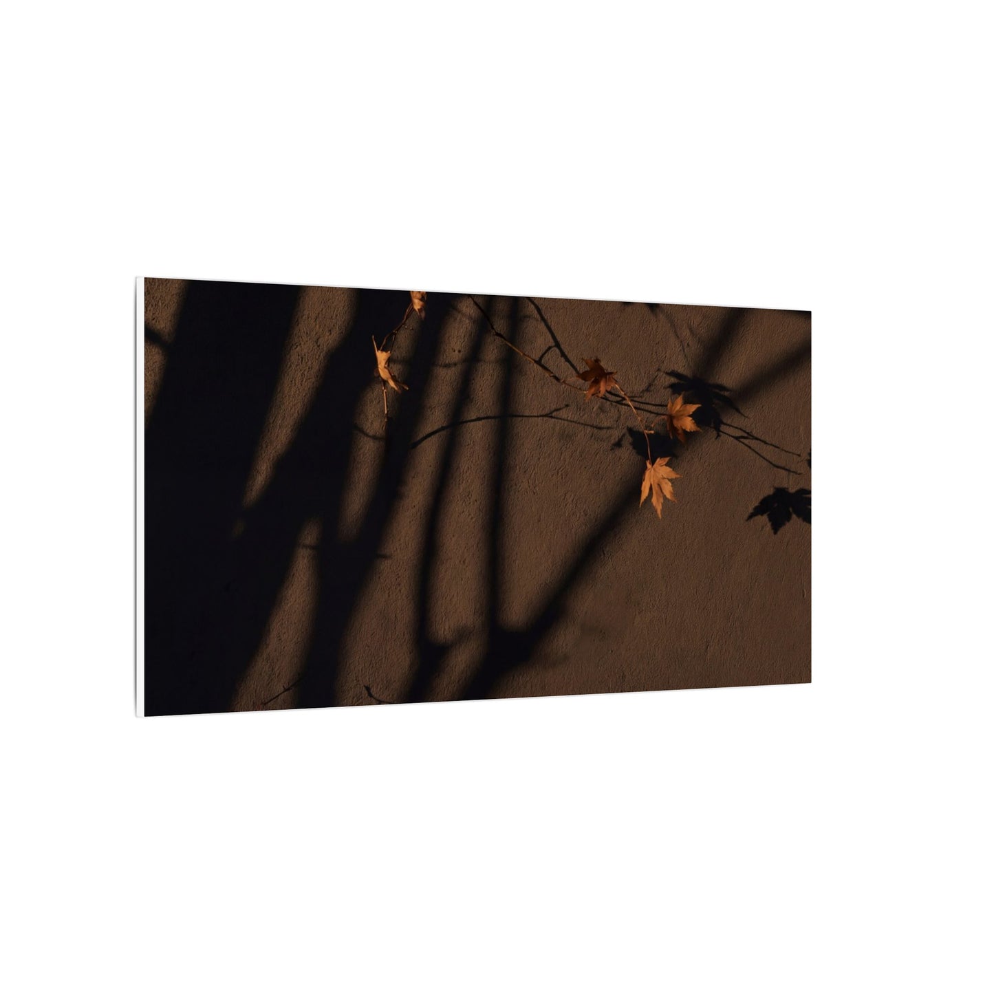 Shadow Play Autumn Canvas Art | Dark Japandi Luxurious Design