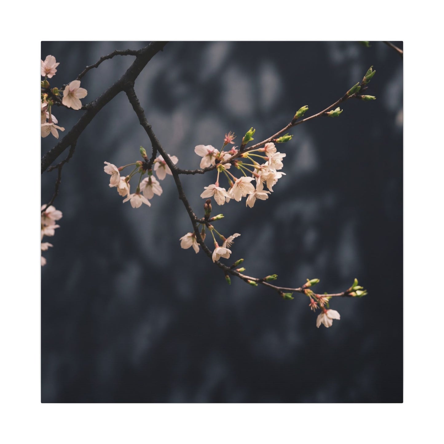 Cherry Blossom Moody Minimal Canvas Art | Bold Dark Japandi Art
