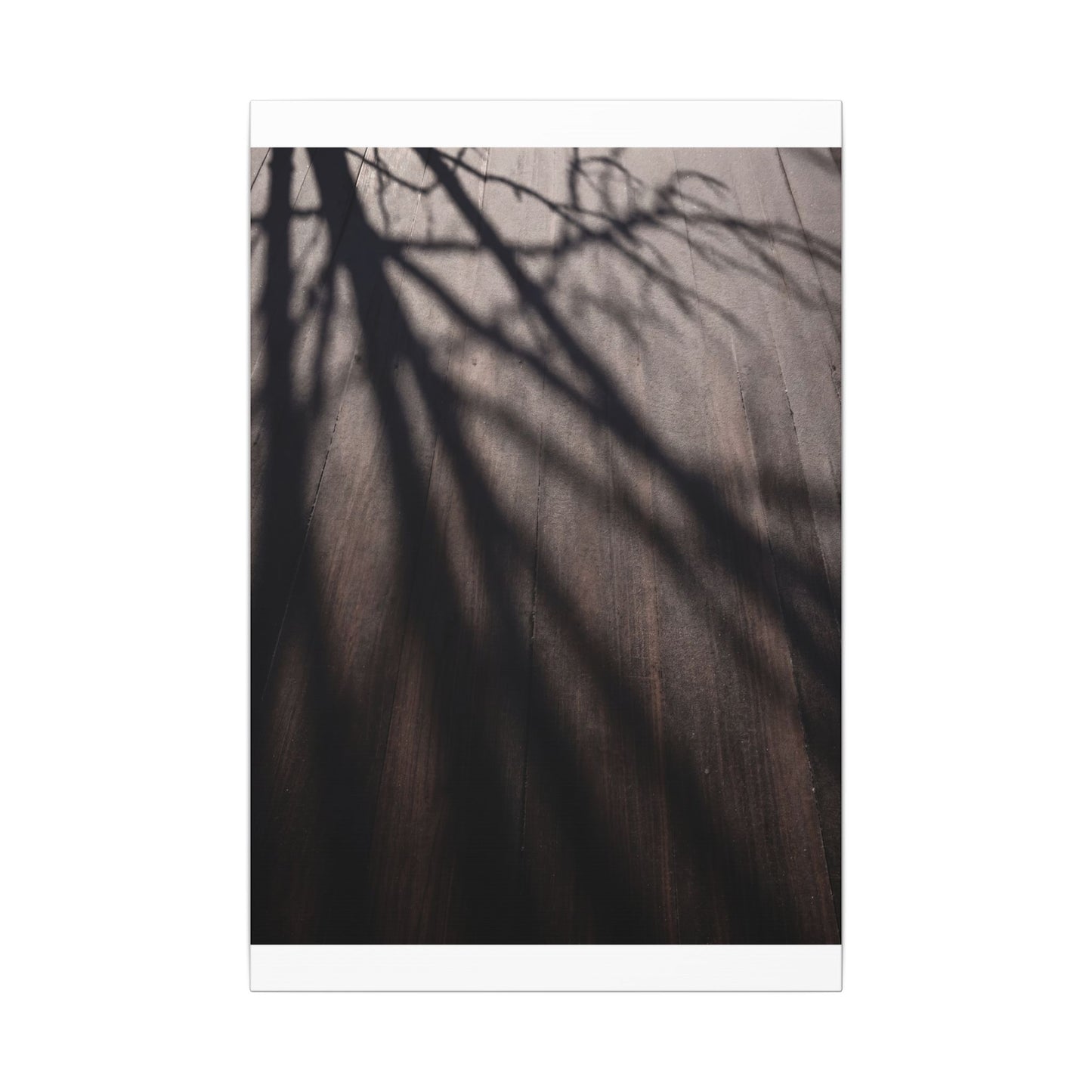 Dark Japandi Shadow Play in Dawn | Moody Minimal Canvas Art