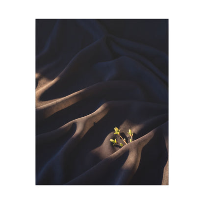 Silk Drape Shadow Zen Canvas Art | Luxurious Dark Japandi Art
