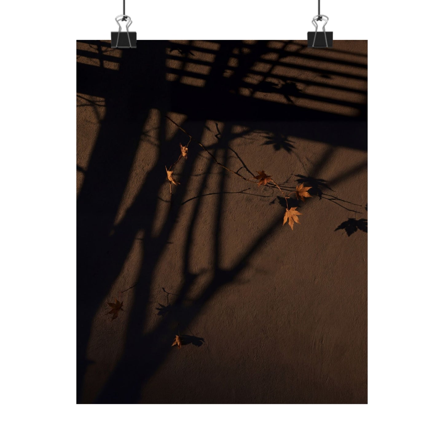 Autumn Shadow Play Shadow Zen Wall Art Print | Sophisticated Decor Art Print