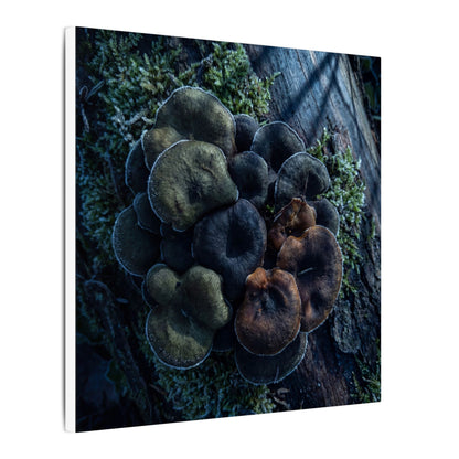 Wild Mushrooms Moody Minimal Canvas Art | Moody Dark Japandi Art
