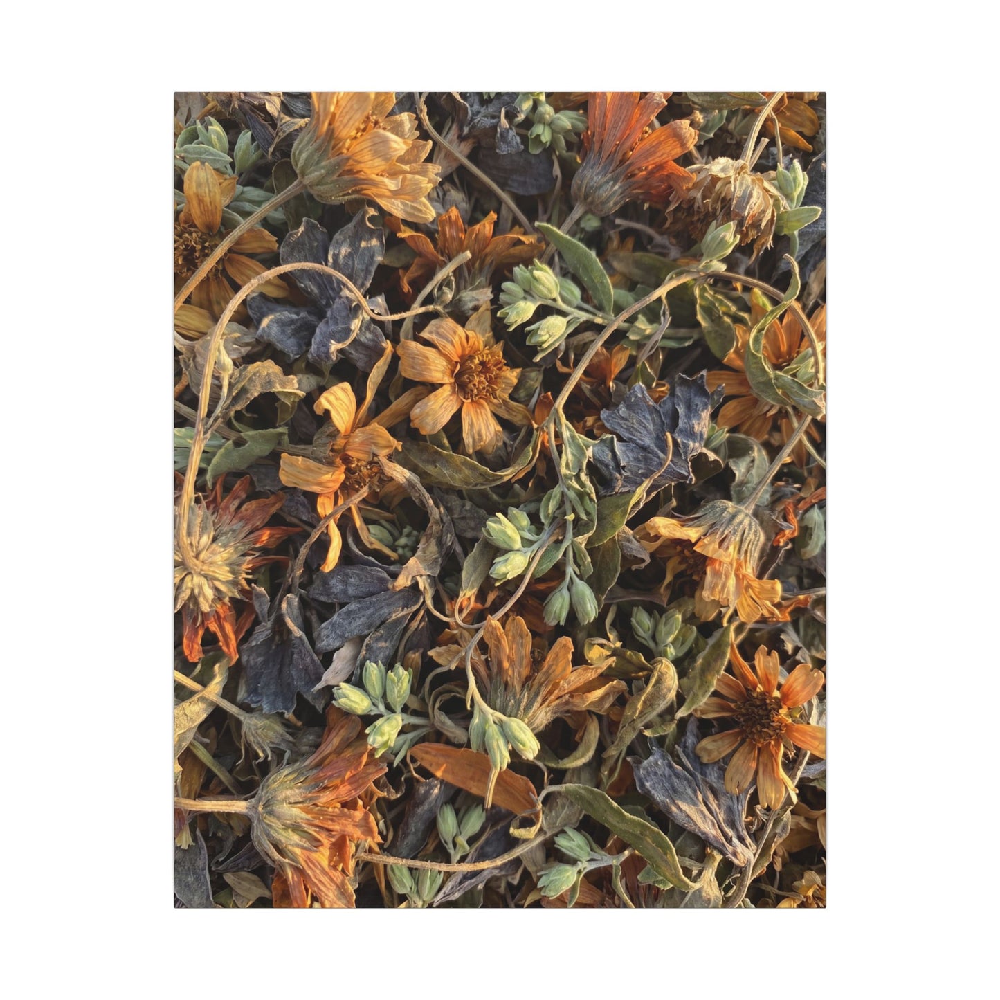 Spring Dried Flowers Japanese Pattern Canvas Art | Warm Decor