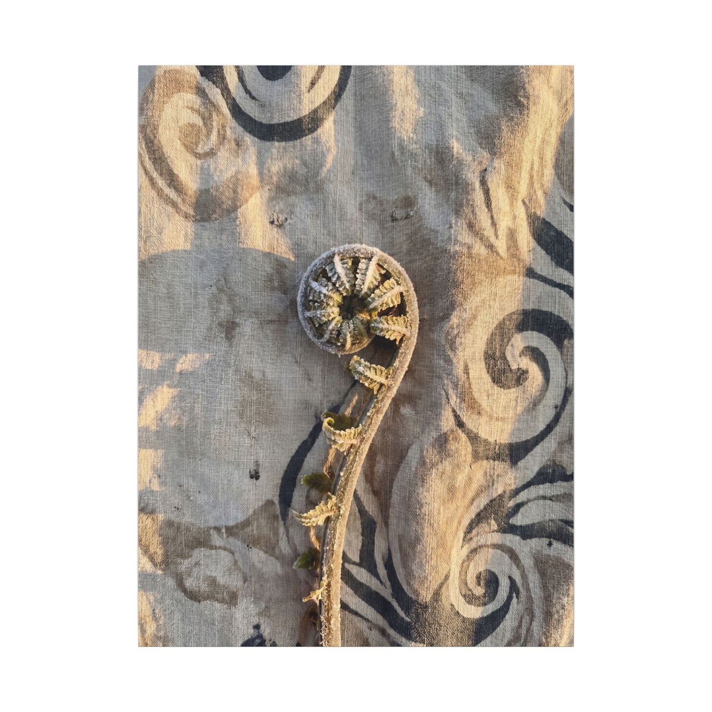Fern Unfurling Canvas Art | Winter Japandi Japanese Pattern Art