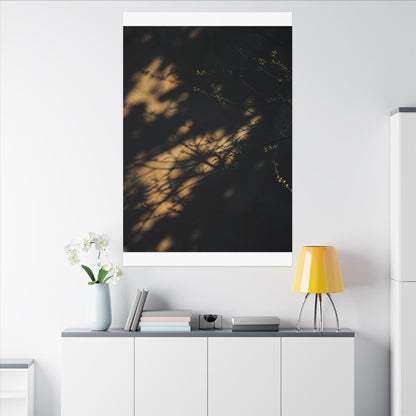 Moody Shadow Play Canvas Art - Moody Minimal Dark Japandi