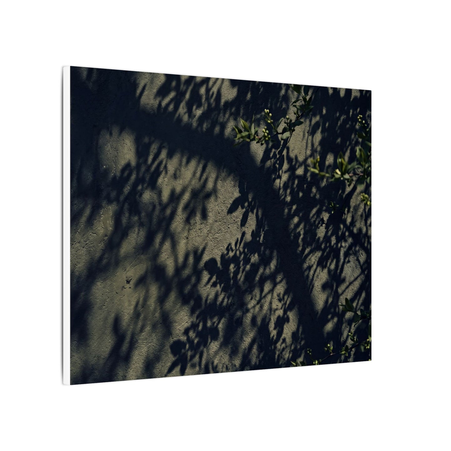 Atmospheric Shadow Play Canvas Art - Moody Minimal Dark Japandi