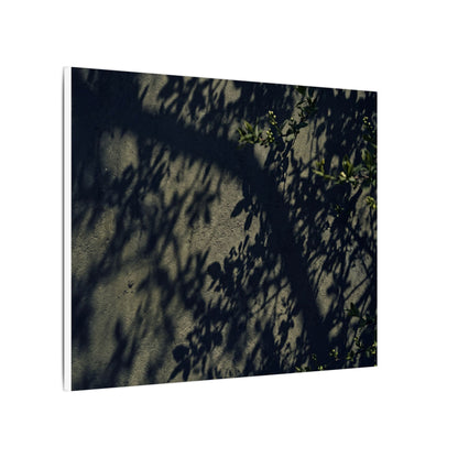 Atmospheric Shadow Play Canvas Art - Moody Minimal Dark Japandi