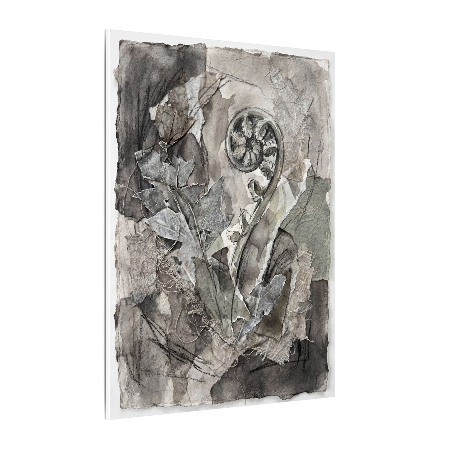 Japandi Fern Unfurling in Overcast | Texture Canvas Art