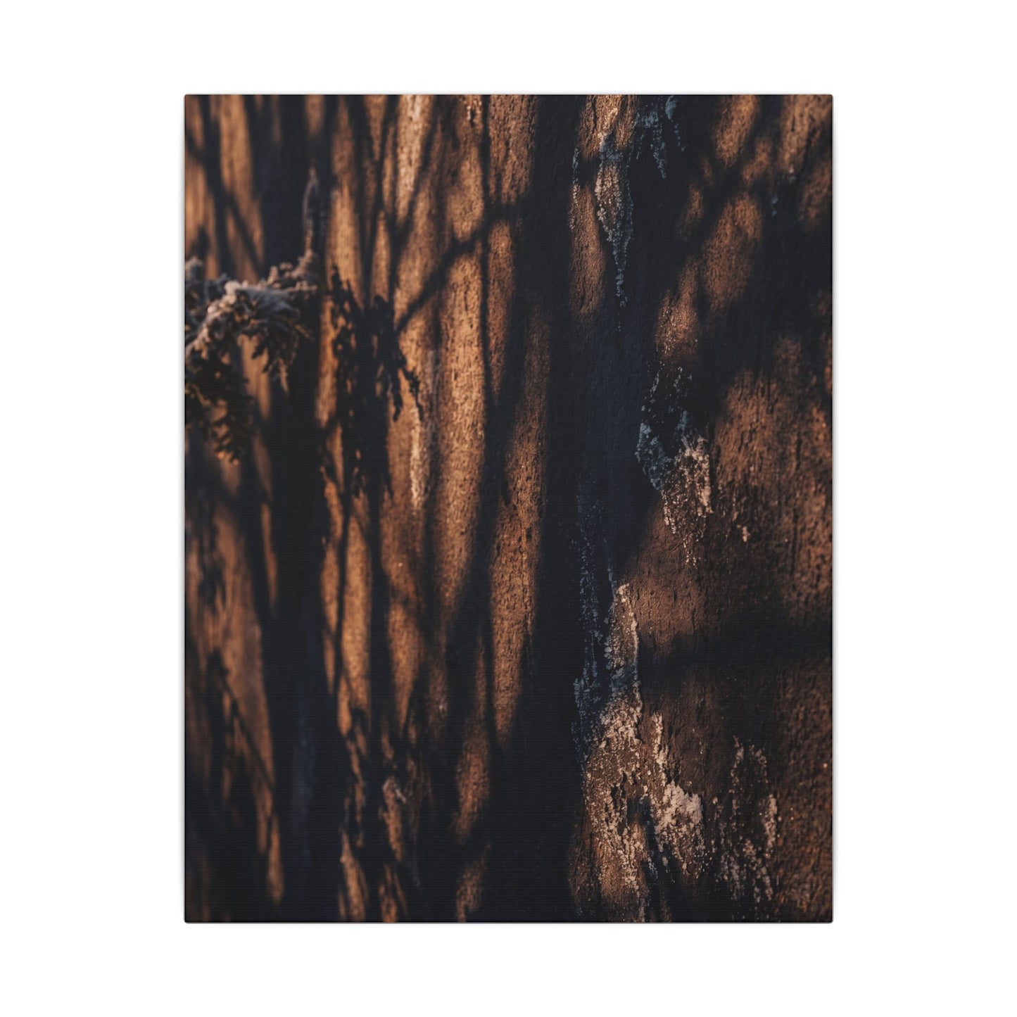 Golden Hour Shadow Play Canvas Art - Dark Japandi Fukinsei
