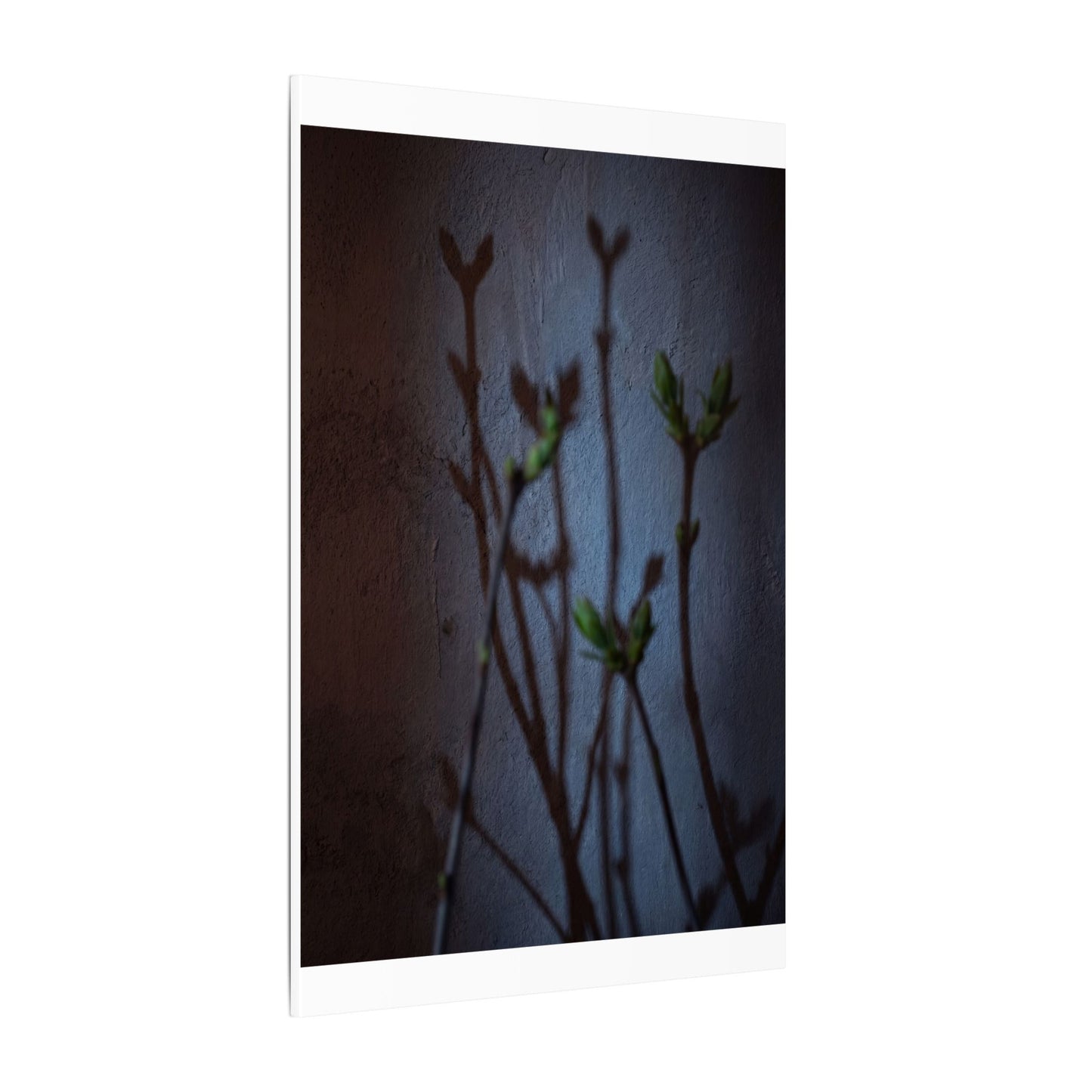 Shadow Play Spring Canvas Art | Dark Japandi Sophisticated Design