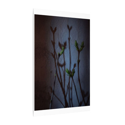 Shadow Play Spring Canvas Art | Dark Japandi Sophisticated Design