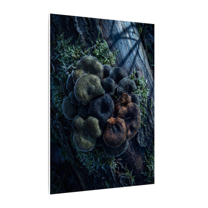 Wild Mushrooms Moody Minimal Canvas Art | Moody Dark Japandi Art